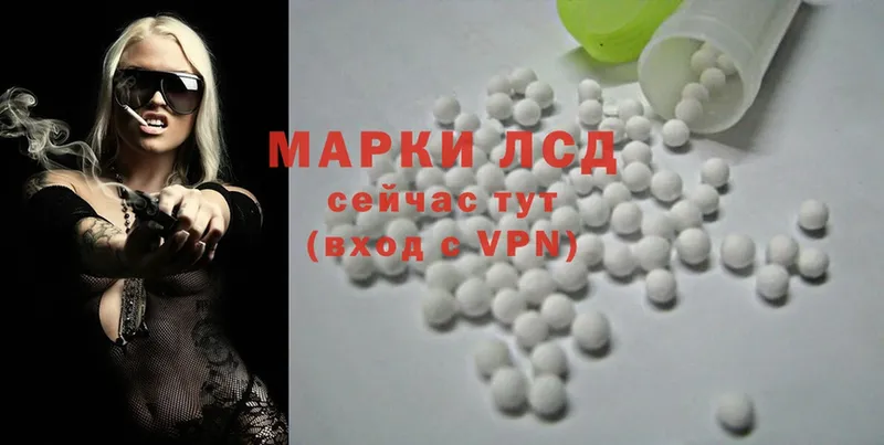 Цена Баксан Псилоцибиновые грибы  Гашиш  Alpha PVP  Конопля  Cocaine 